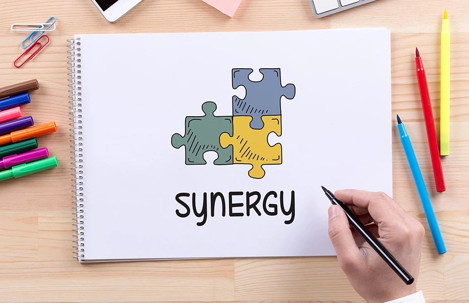 Determining the right maintenance and support plan